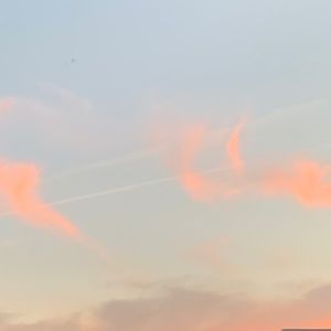 Meet your Posher, Alexia